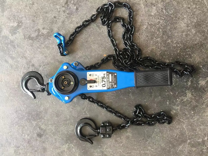 Cabo elétrico padrão do Ce que puxa o tipo corrente grua das ferramentas 10KN do punho